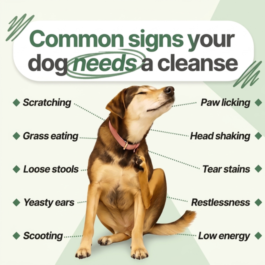 Parasite Cleanse Pet Care Drops