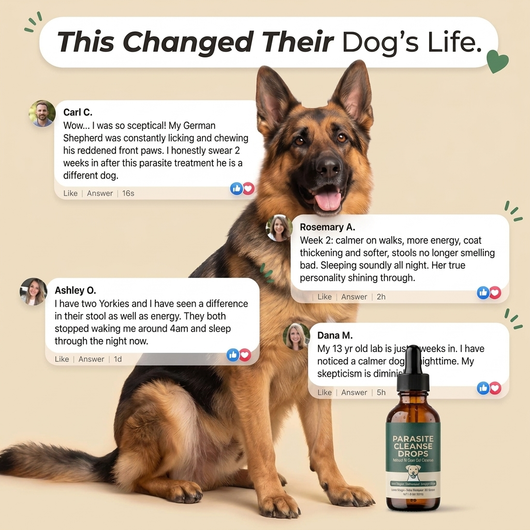 Parasite Cleanse Pet Care Drops
